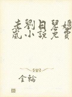 老刘日儿媳妇张岚小说免费阅读