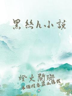 黑丝h小说
