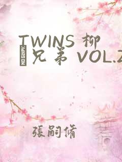 TWINS 柳澤兄弟 VOL.2