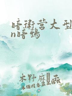 暗卫营大型hpn暗鸦