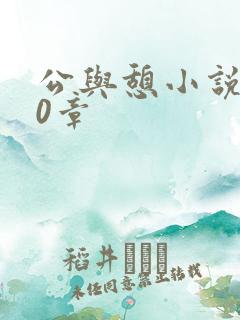 公与憩小说400章