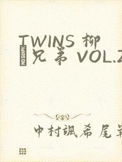 TWINS 柳澤兄弟 VOL.2