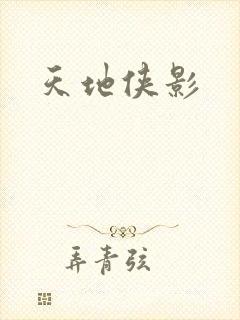 天地侠影