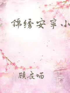 锦绣安宁小说