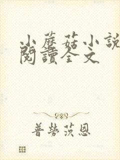 小蘑菇小说免费阅读全文