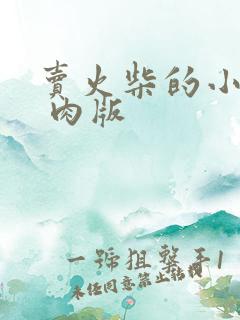 卖火柴的小男孩 肉版