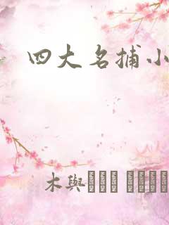 四大名捕小说