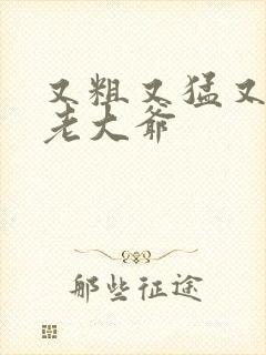 又粗又猛又大爽老大爷