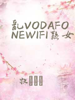 乱VODAFONEWIFI熟女