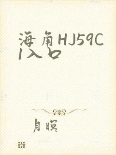 海角HJ59C1入口