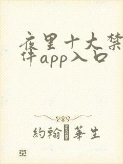 夜里十大禁用软件app入口