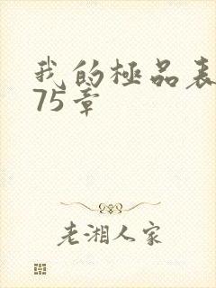 我的极品表嫂第75章