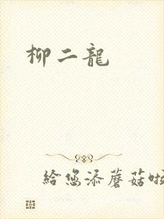 柳二龙