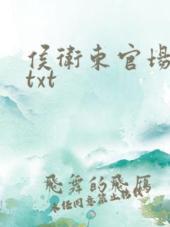 侯卫东官场笔记txt