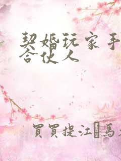 契婚玩家手册之合伙人