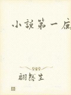 小说第一庶女