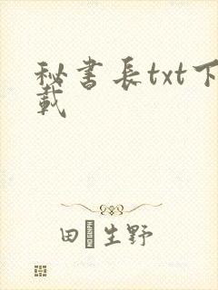 秘书长txt下载