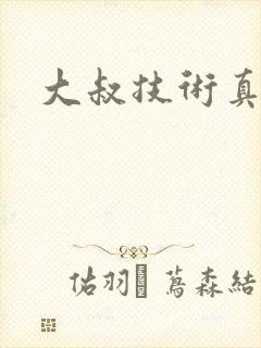 大叔技术真好