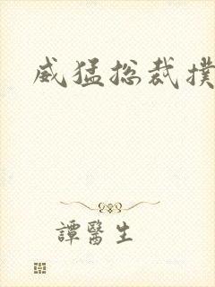 威猛总裁扑娇妻