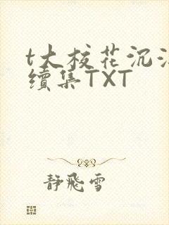 t大校花沉浮录续集TXT