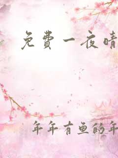 免费一夜晴交友