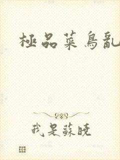 极品菜鸟乱江湖