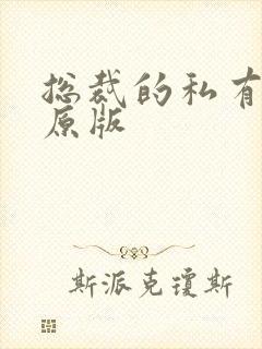 总裁的私有宝贝原版