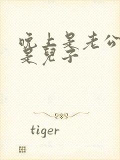 晚上是老公白天是儿子