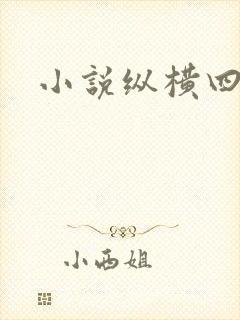 小说纵横四海