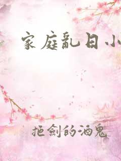 家庭乱日小说