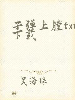 子弹上膛txt下载