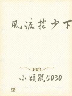 风流花少下载