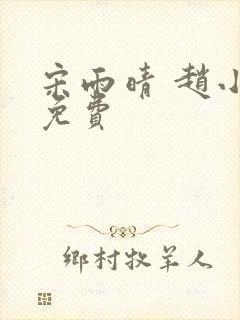 宋雨晴 赵小刚免费