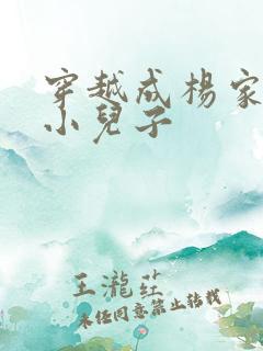 穿越成杨家将最小儿子