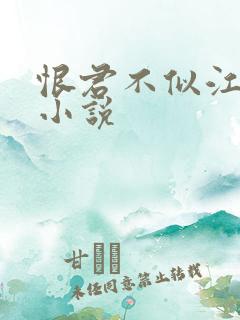 恨君不似江楼月小说