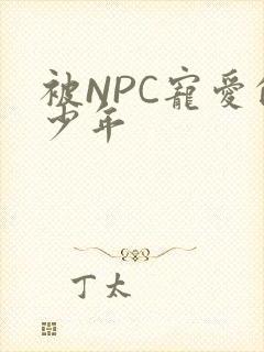 被NPC宠爱的少年
