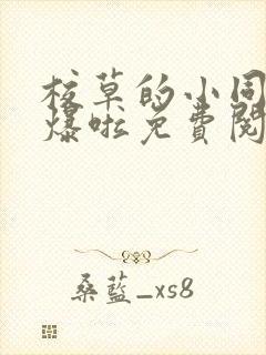 校草的小同桌撩爆啦免费阅读