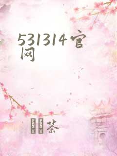 531314官网