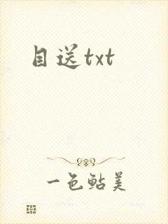 目送txt