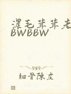 浓毛茸茸老太BBWBBW