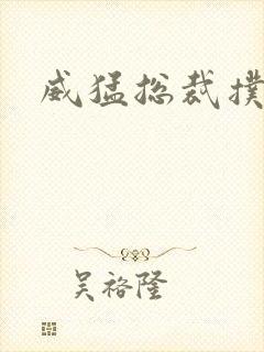 威猛总裁扑娇妻