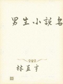 男生小说名字