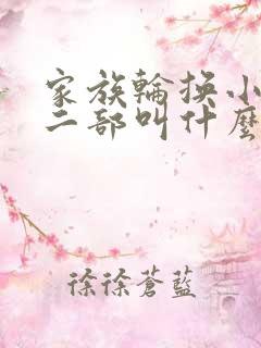 家族轮换小说第二部叫什么名字