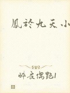 凤于九天小说