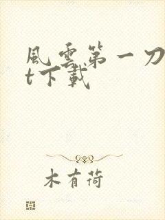 风云第一刀txt下载