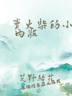 卖火柴的小男孩 肉版