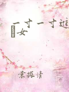 一寸一寸进入小姪女