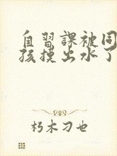 自习课被同桌男孩摸出水了