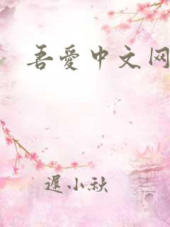 吾爱中文网