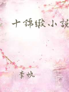 十锦缎小说
